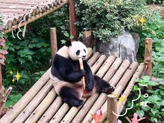 -红山森林动物园