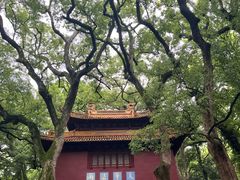 -普陀山风景名胜区-法雨禅寺