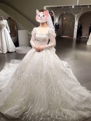 点击看大图 -艾米丽婚纱礼服