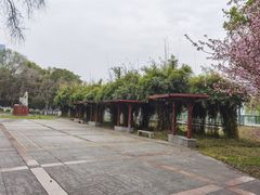 -武昌江滩