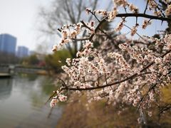 -白塘生态植物园