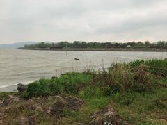 -上海市保健医疗中心(华东疗养院)