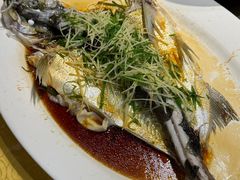 豆豉蒸白鲳鱼-大笑饭堂(甲子桥店)
