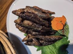 -田园居·佳宴(桑田路店)