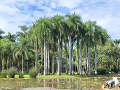 -中国科学院西双版纳热带植物园