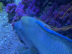 -欢乐海岸海洋奇梦馆