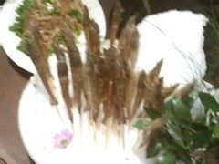 -厦门园林植物园-植物园滴水山房