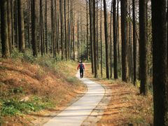 -莫干山风景区
