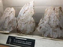 -上海邮政博物馆