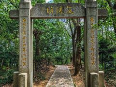 -上海佘山国家森林公园天马山园