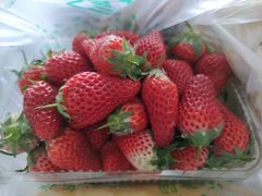 草莓-北京清河镇农副产品交易市场中心