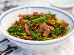 香菜炒牛肉-壹盏灯(蚂蚁工房店)