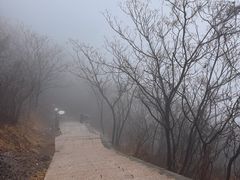 -圌山