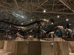 -世界恐龙谷景区