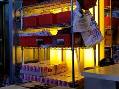 -尊宝比萨(福强店)