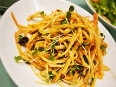 -北京老铺烤鸭(高新店)