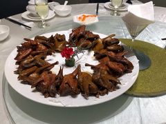 -光明招待所(邦凯科技园店)