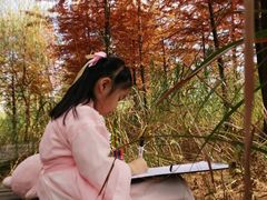 -梁鸿国家湿地公园