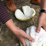 漳平柚子