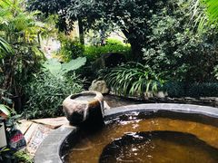 -汇雅温泉