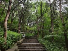 -云龙山