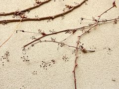 -青岛德国监狱旧址博物馆