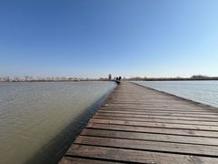 -盐城丹顶鹤湿地生态旅游区