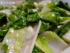 清炒芽白-大碗厨(东风路店)