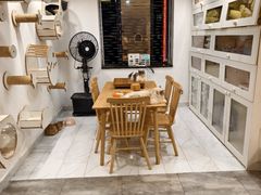 -楼上猫咖(罗湖店)