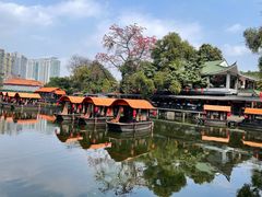 -侨美·唐荔园·40年地道粤菜