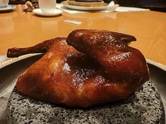 -广州富力君悦大酒店空中花园