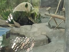 -灵玲国际马戏城