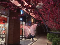 -永旺梦乐城国际商城(北清路店)