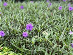 -润泽园海南椰子鸡·糟粕醋火锅(拱北店)