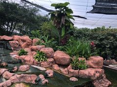 -吉隆坡雀鸟公园
