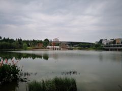-琴亭湖公园