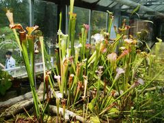 -国家植物园南园