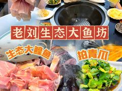 -老刘生态大鱼坊铁锅炖鱼(赛马场店)