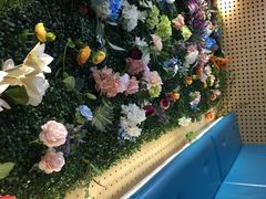 -青瓷火锅料理(西单大悦城店)