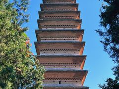 -洛阳白马寺