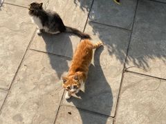 -汤阴县羑里周易博物馆
