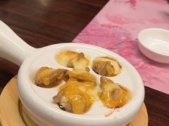 -黑松白鹿(金融街店)