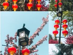 -陶然亭公园