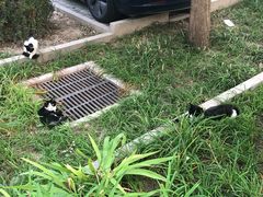 -西门子中国有限公司(阜通东大街店)