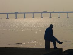 -宝安西湾红树林湿地公园