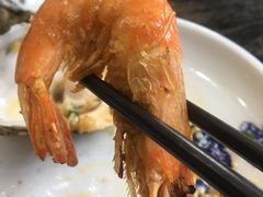 -蚝专家