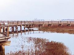 -红海滩国家风景廊道