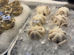 -铭聚章鱼土笋冻(松柏店)