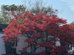 -常熟方塔园