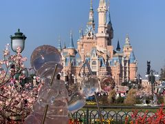 -上海迪士尼度假区